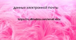 Данные электронной почты